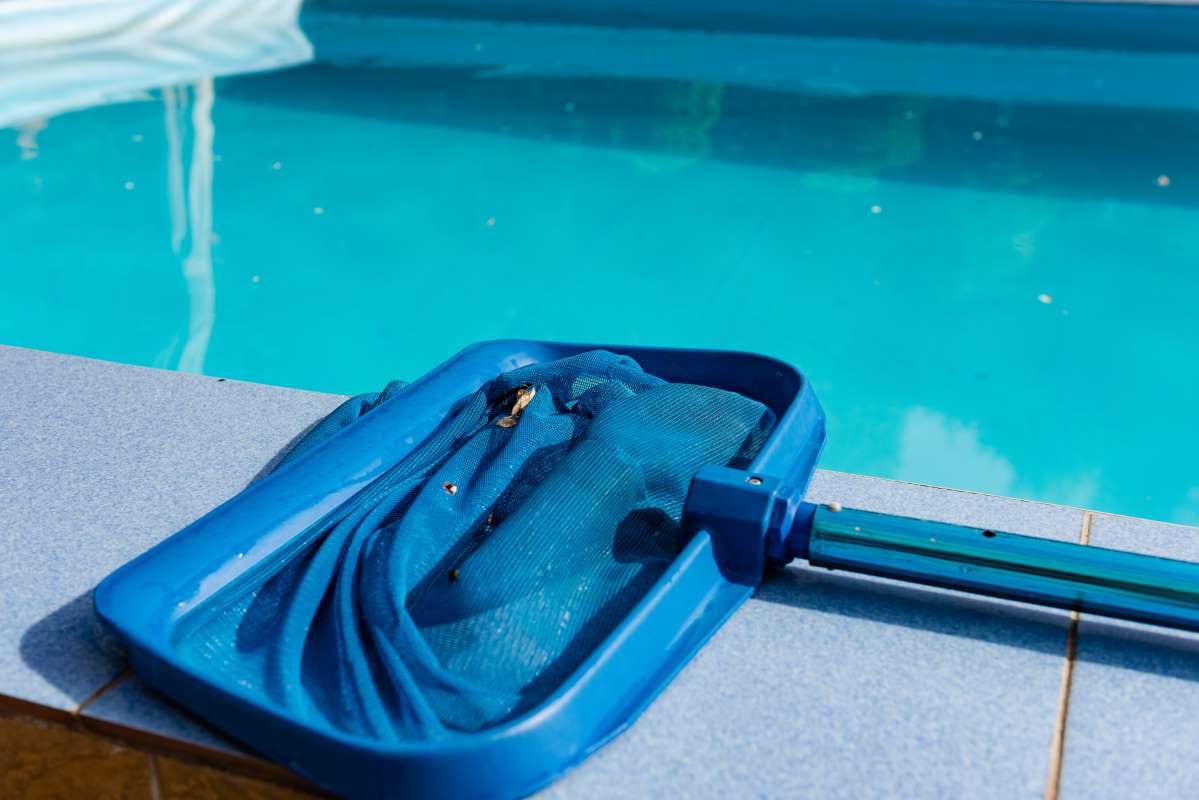 Close-up of a pool net cleaner against tiled pool edge