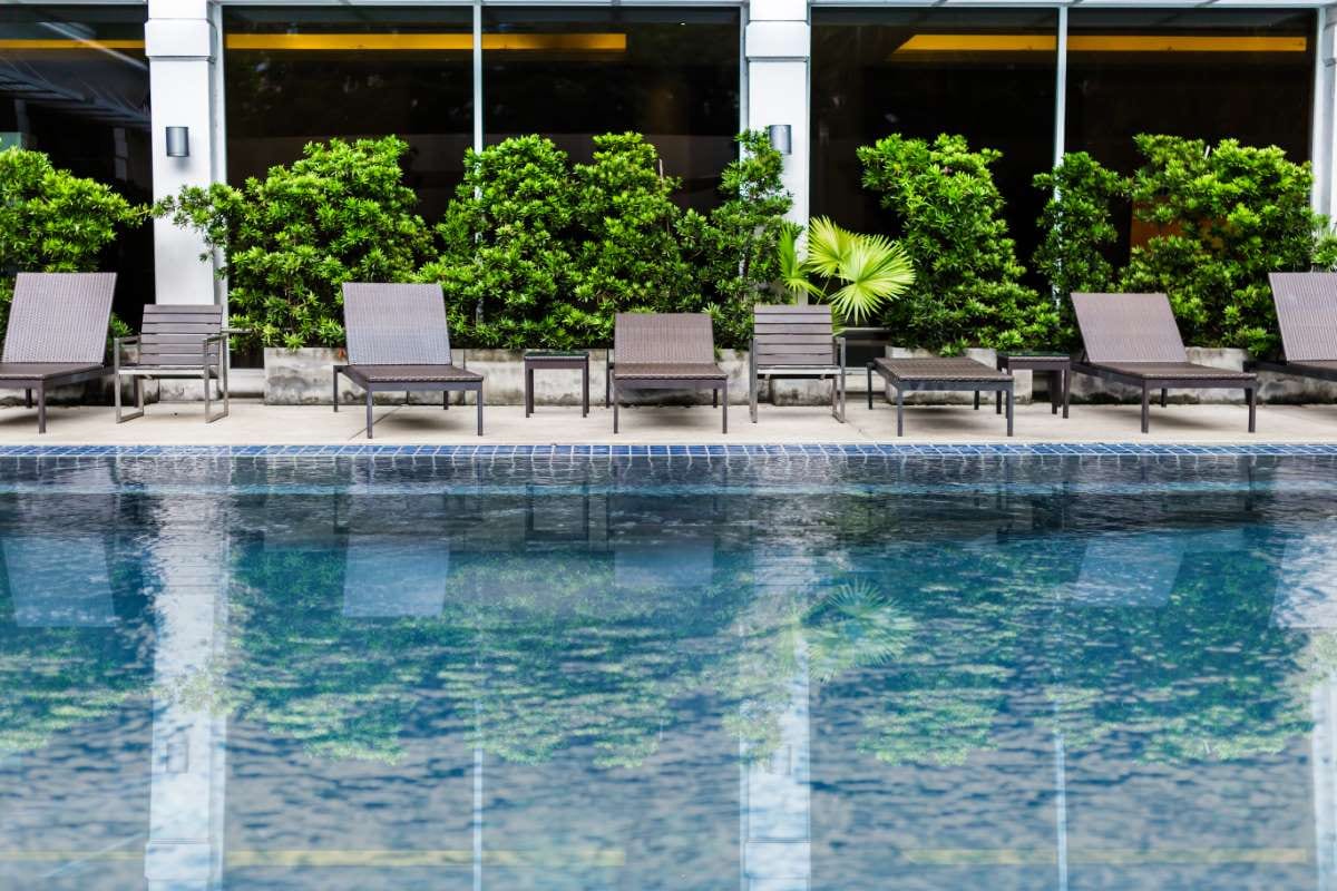 Swimming pool with steps beside a tree-lined yard
