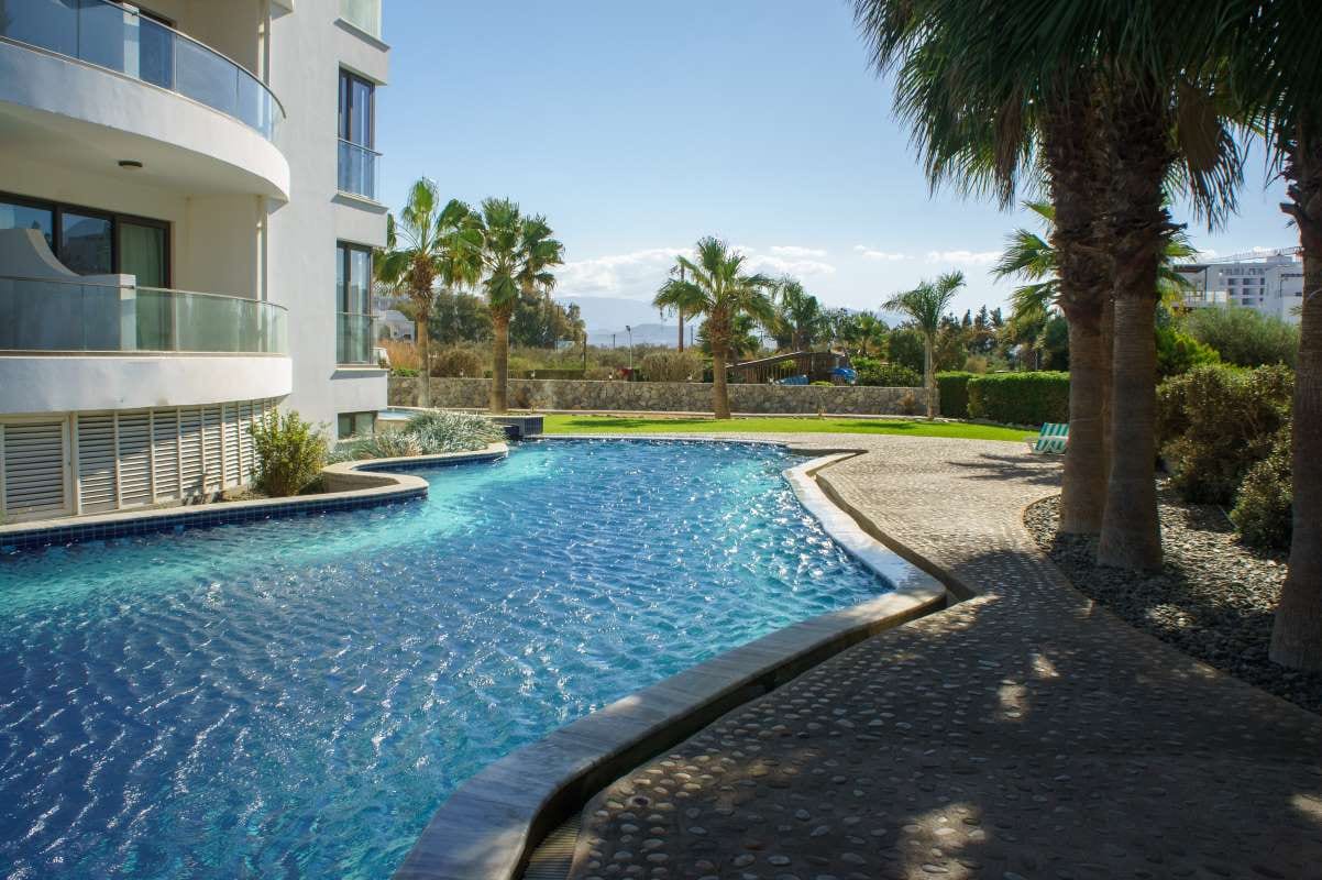 Tranquil pool oasis with palm trees on a sunny day